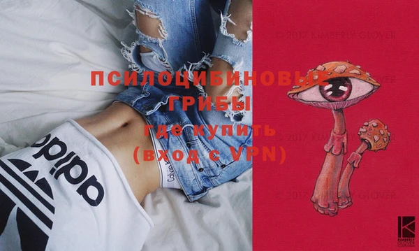 ГАЛЛЮЦИНОГЕННЫЕ ГРИБЫ Кинешма