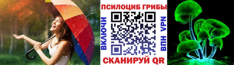 Псилоцибиновые грибы мицелий  Учалы 